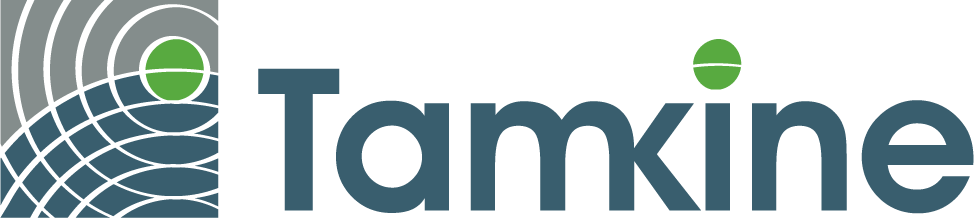 Tamkine